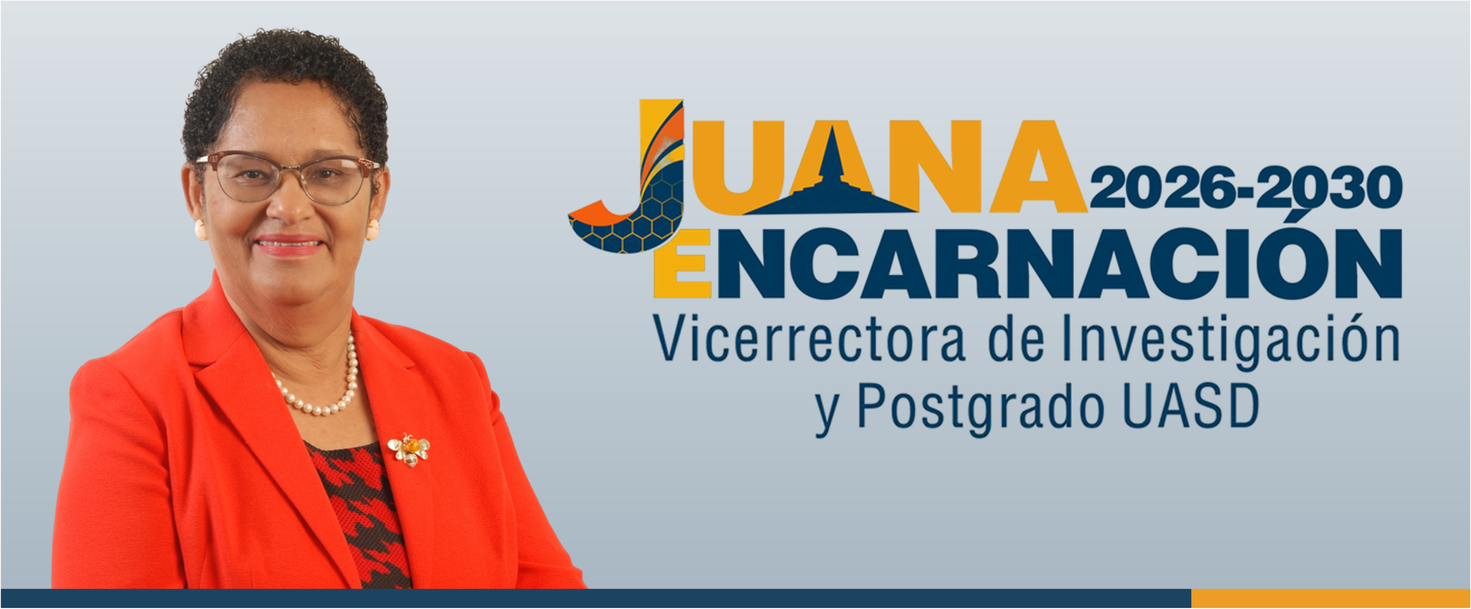 Juana Encarnación pieza institucional